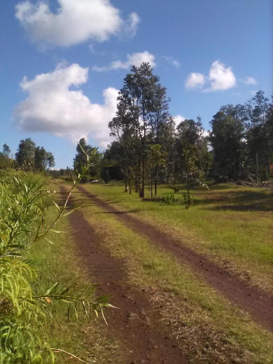 Mountain View Simply Convenient Tropical Country Studio מראה חיצוני תמונה